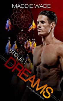 Stolen Dreams: Stolen Dreams Fortis Security Series
