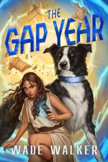 The Gap Year