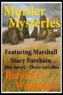Murder Mysteries #5 Murder Mysteries #5
