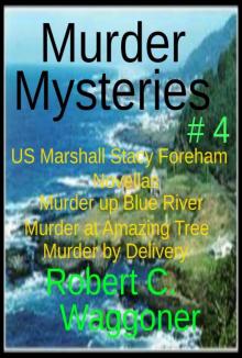 Murder Mysteries # 4 Murder Mysteries # 4