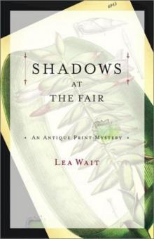 Shadows at the Fair 01