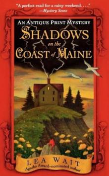 Shadows on the coast of Maine : an antique print mystery Shadows on the coast of Maine : an antique print mystery