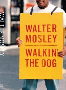 Walter Mosley_Socrates Fortlow 02