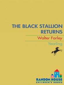 The Black Stallion Returns The Black Stallion Returns