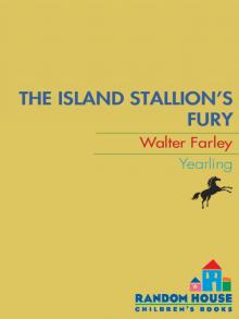 The Island Stallion's Fury The Island Stallion's Fury