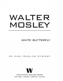 White Butterfly White Butterfly