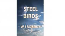 Steel Birds