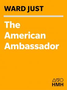 The American Ambassador
