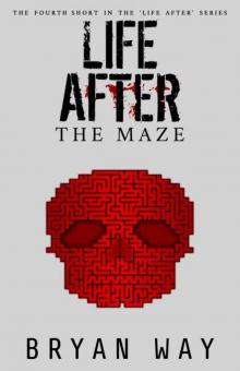 Life After Series | Short Story 4 | The Maze