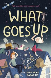 What Goes Up What Goes Up