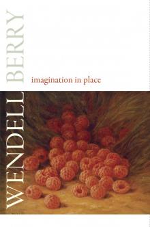 Imagination in Place