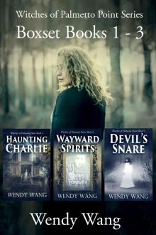 Witches of Palmetto Point Series Boxset Books 1 - 3: Haunting Charlie, Wayward Spirits and Devil's Snare