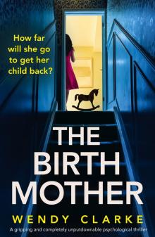 The Birth Mother: A gripping and completely unputdownable psychological thriller