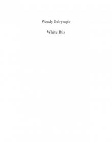 White Ibis