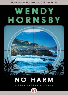 No Harm (The Kate Teague Mysteries Book 1)