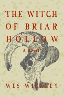 The Witch of Briar Hollow