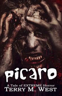 Picaro