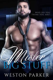 Mister Big Stuff_A Single Mom Friends to Lovers Novel