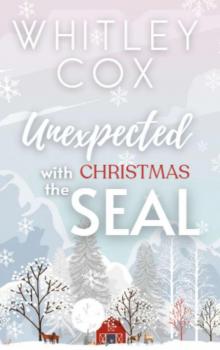 Unexpected Christmas with the SEAL