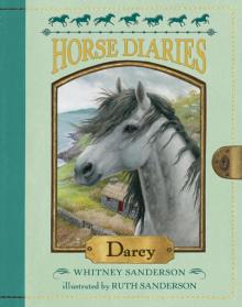 Darcy Darcy