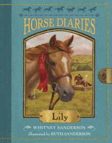 Horse Diaries 15 Horse Diaries 15