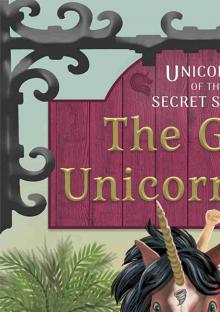 The Great Unicorn Race The Great Unicorn Race