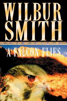 A Falcon Flies A Falcon Flies