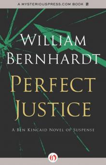 Perfect Justice bk-4