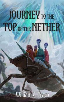 Journey to the Top of the Nether (Tales of the Dissolutionverse Book 5)