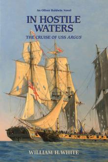 In Hostile Waters: The Cruise of USS Argus (Oliver Baldwin Novel Book 3)