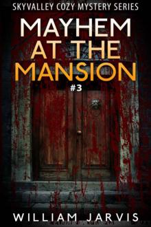 William Jarvis - Sky Valley 03 - Mayhem at the Mansion