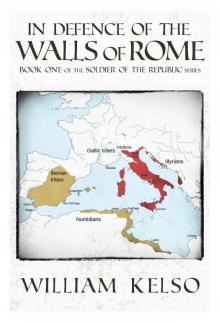 In Defence of the Walls of Rome