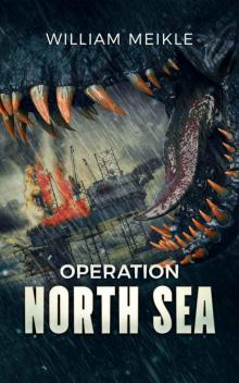 Operation: North Sea (S-Squad Book 10) Operation: North Sea (S-Squad Book 10)