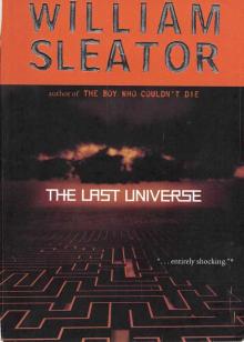 The last Universe