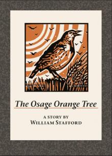 The Osage Orange Tree The Osage Orange Tree