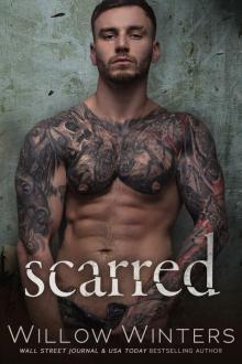 Scarred: Sins and Secrets Series of Duets