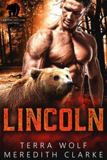 Lincoln (Canyon Hollow Shifters Lincoln (Canyon Hollow Shifters