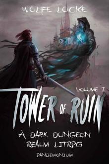 Tower of Ruin 1: A Dark Dungeon Realm LitRPG