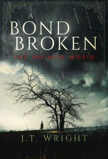 IW-02. A Bond Broken