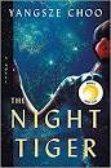 The Night Tiger: A Novel The Night Tiger: A Novel