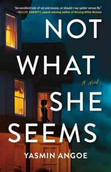 Not What She Seems: A Novel