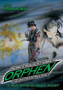Sorcerous Stabber Orphen: The Wayward Journey, Volume 3