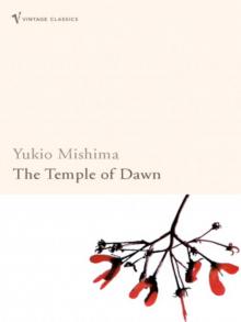 Temple Of Dawn Temple Of Dawn
