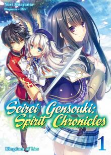 Seirei Gensouki: Spirit Chronicles, Volume 1