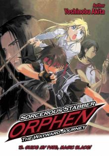 Sorcerous Stabber Orphen: The Wayward Journey, Volume 13