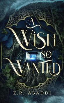 A Wish So Wanted (The Desert of Wishes Book 2)