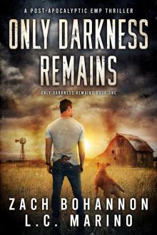 Only Darkness Remains: A Post-Apocalyptic EMP Thriller