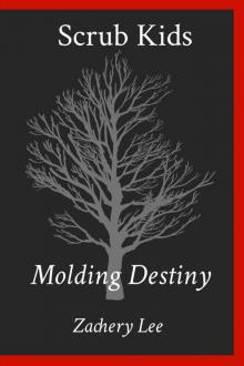 Scrub Kids: Molding Destiny