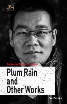 The Selected Stories of Xu Zechen