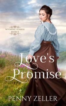 Love's Promise ebook